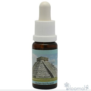 t[GbZX RePHIGbZX ̑XyVGbZX ``FCcAs~bh