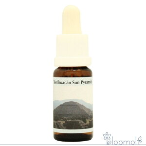 t[GbZX RePHIGbZX ̑XyVGbZX eIeBJ T s~bh