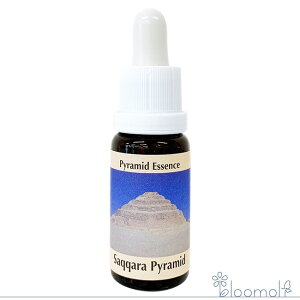 t[GbZX RePHIGbZX ̑XyVGbZX TbJ̃s~bh SaqqaraPyramid