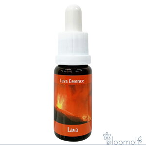 �t�����[�G�b�Z���X �R���ePHI�G�b�Z���X ���̑��X�y�V�����G�b�Z���X ���[���@ Lava