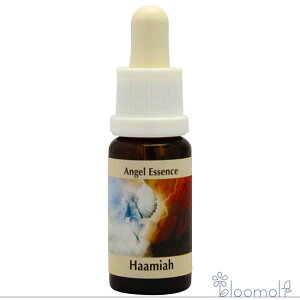 t[GbZX RePHIGbZX GWFGbZX n[~A