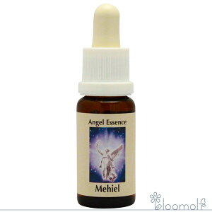 t[GbZX RePHIGbZX GWFGbZX qG