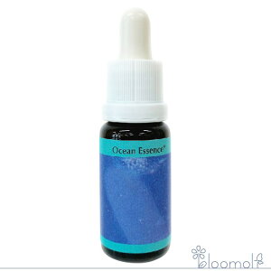 t[GbZX RePHIGbZX I[VGbZX No.2