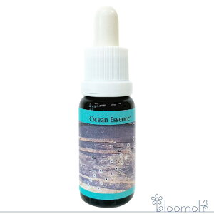 t[GbZX RePHIGbZX I[VGbZX No.10