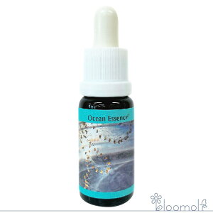 t[GbZX RePHIGbZX I[VGbZX No.14