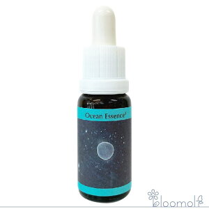 t[GbZX RePHIGbZX I[VGbZX No.15