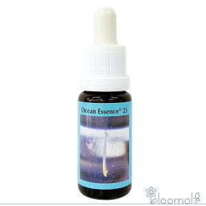 t[GbZX RePHIGbZX I[VGbZX No.25