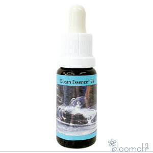 t[GbZX RePHIGbZX I[VGbZX No.26