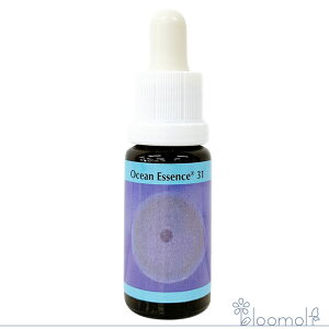 t[GbZX RePHIGbZX I[VGbZX No.31