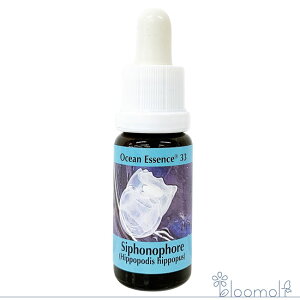 t[GbZX RePHIGbZX I[VGbZX No.33 uNQ Siphonophore Hippopodis hippopus