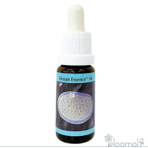 t[GbZX RePHIGbZX I[VGbZX No.34