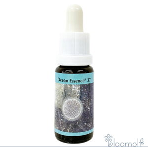 t[GbZX RePHIGbZX I[VGbZX No.37