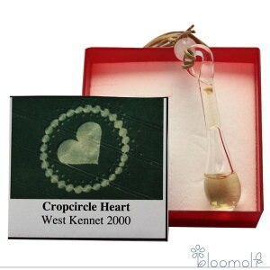 t[GbZX RePHIGbZX ̑ #32 NbvT[N n[gy_g