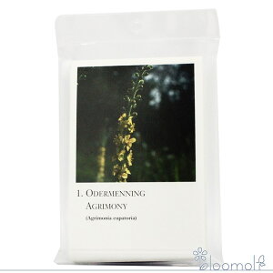 t[GbZX RePHIGbZX ̑ NVbNV[YJ[hS40