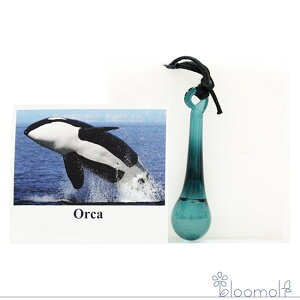 t[GbZX RePHIGbZX ̑ IJ̃GbZXy_g