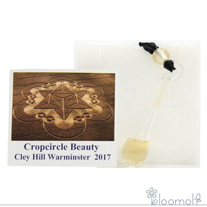 t[GbZX RePHIGbZX ̑ #190 r[eB[y_g NbvT[NEVgt