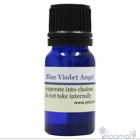 ブルーバイオレットエンジェル Blue Violet Angel ペタルトーン NEW ARRIVAL