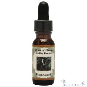 ubNRzbV p[Iut[q[OGbZX t[GbZX