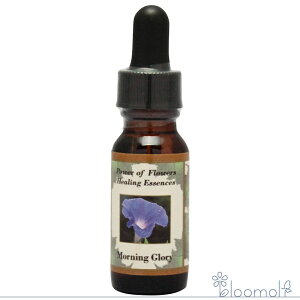 [jOO[[ p[Iut[q[O p[Iut[q[OGbZX