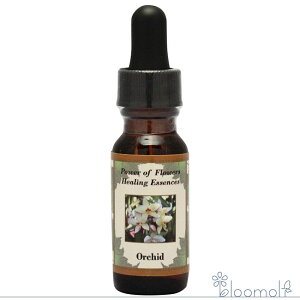 I[Lbh p[Iut[q[O p[Iut[q[OGbZX