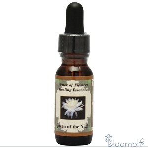 NB[IuUiCg p[Iut[q[O p[Iut[q[OGbZX