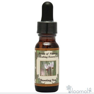 V[eBOX^[ p[Iut[q[OGbZX t[GbZX