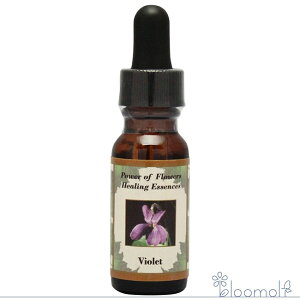 p[v@CIbg p[Iut[q[O p[Iut[q[OGbZX