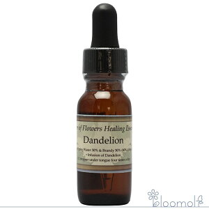 _fCI p[Iut[q[O ̑VOGbZX