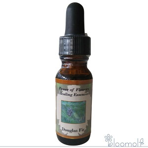 _OXt@[ p[Iut[q[O ̑VOGbZX