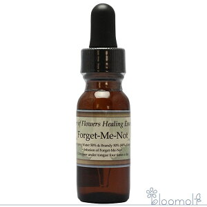 tH[Qbg~[mbg p[Iut[q[O ̑VOGbZX