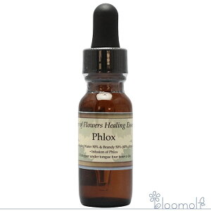 tbNX p[Iut[q[O ̑VOGbZX