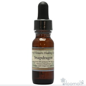 �X�i�b�v�h���S�� �p���[�I�u�t�����[�q�[�����O ���̑��V���O���G�b�Z���X