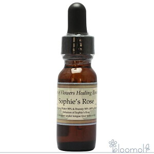 \tB[[Y p[Iut[q[O ̑VOGbZX