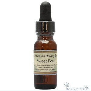 XC[gs[ p[Iut[q[O ̑VOGbZX