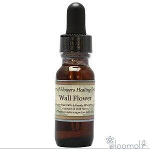 EH[t[ p[Iut[q[O ̑VOGbZX