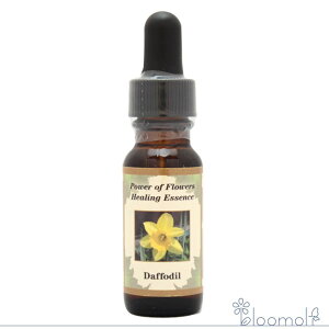 _tHfB Daffodil p[Iut[q[O ̑VOGbZX