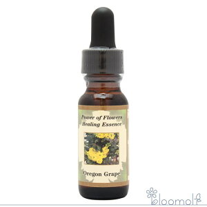 ISO[v Oregon Grape p[Iut[q[O ̑VOGbZX