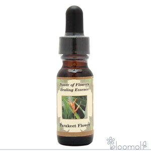 pL[gt[ Parakeet Flower p[Iut[q[O ̑VOGbZX