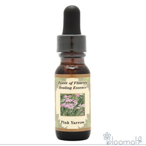 sN[ Pink Yarrow p[Iut[q[O ̑VOGbZX