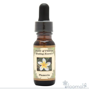 vA Plumeria p[Iut[q[O ̑VOGbZX