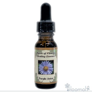 p[vAX^[ p[Iut[q[O ̑VOGbZX t[GbZX