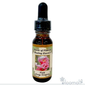 �s���N�X�i�b�v�h���S�� Pink Snap Dragon �p���[�I�u�t�����[�q�[�����O ���̑��V���O���G�b�Z���X