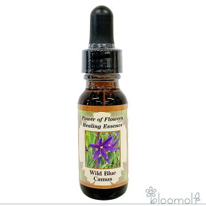 Chu[J}X p[Iut[q[O ̑VOGbZX