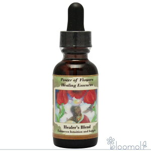 q[[Yuh p[Iut[q[O t[GbZX