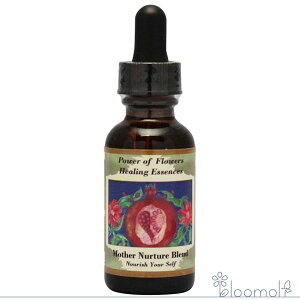 }U[i[`[uh p[Iut[q[O t[GbZX