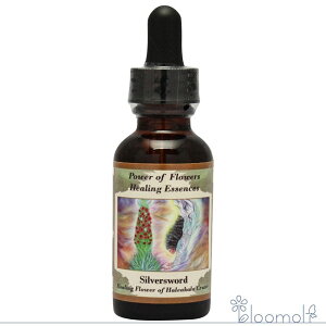 t[GbZX p[Iut[q[O ̑uhV[Y Vo[\[h 30ml