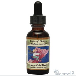 nbs[`Chuh p[Iut[q[O ̑uhV[Y