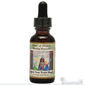 Xs[NAgD[Xuh p[Iut[q[O t[GbZX