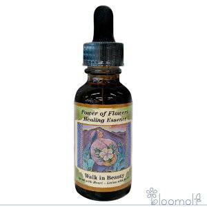 EH[NCr[eB[uh p[Iut[q[O ̑uh