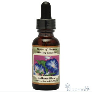 fBAX p[Iut[q[O }Xt[Lbg t[GbZX